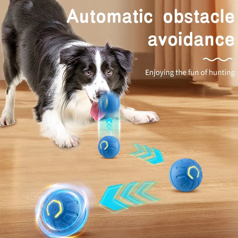 Interactive Pet Toy Moving Ball
