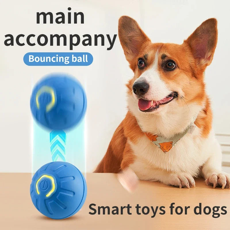 Interactive Pet Toy Moving Ball