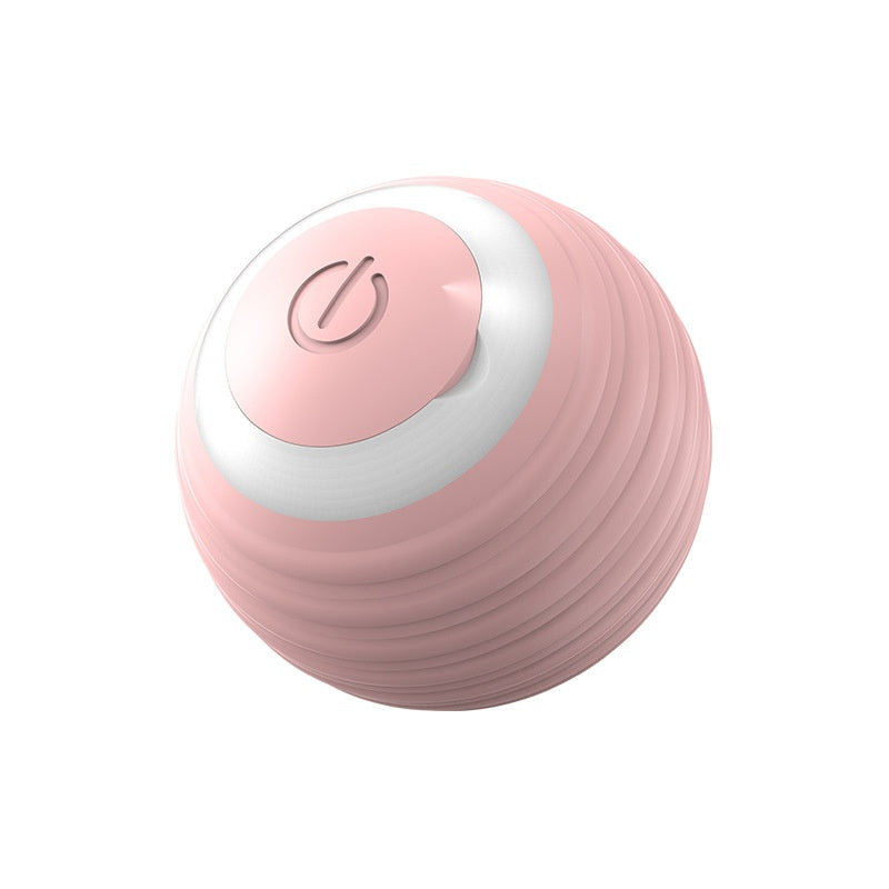 Interactive Pet Toy Moving Ball