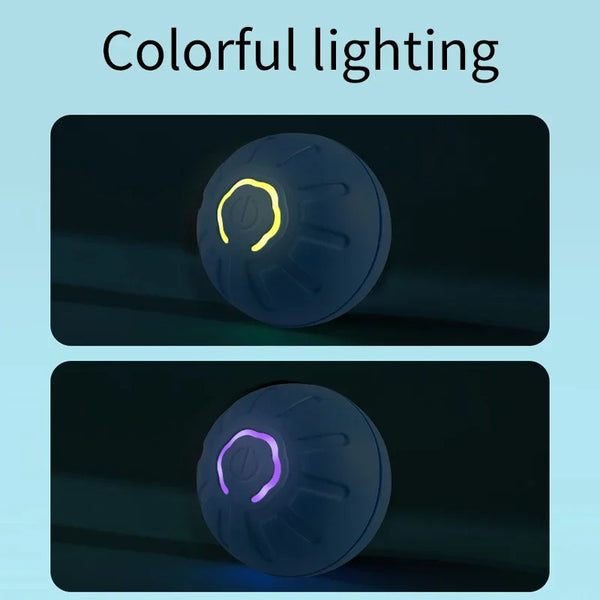 Interactive Pet Toy Moving Ball